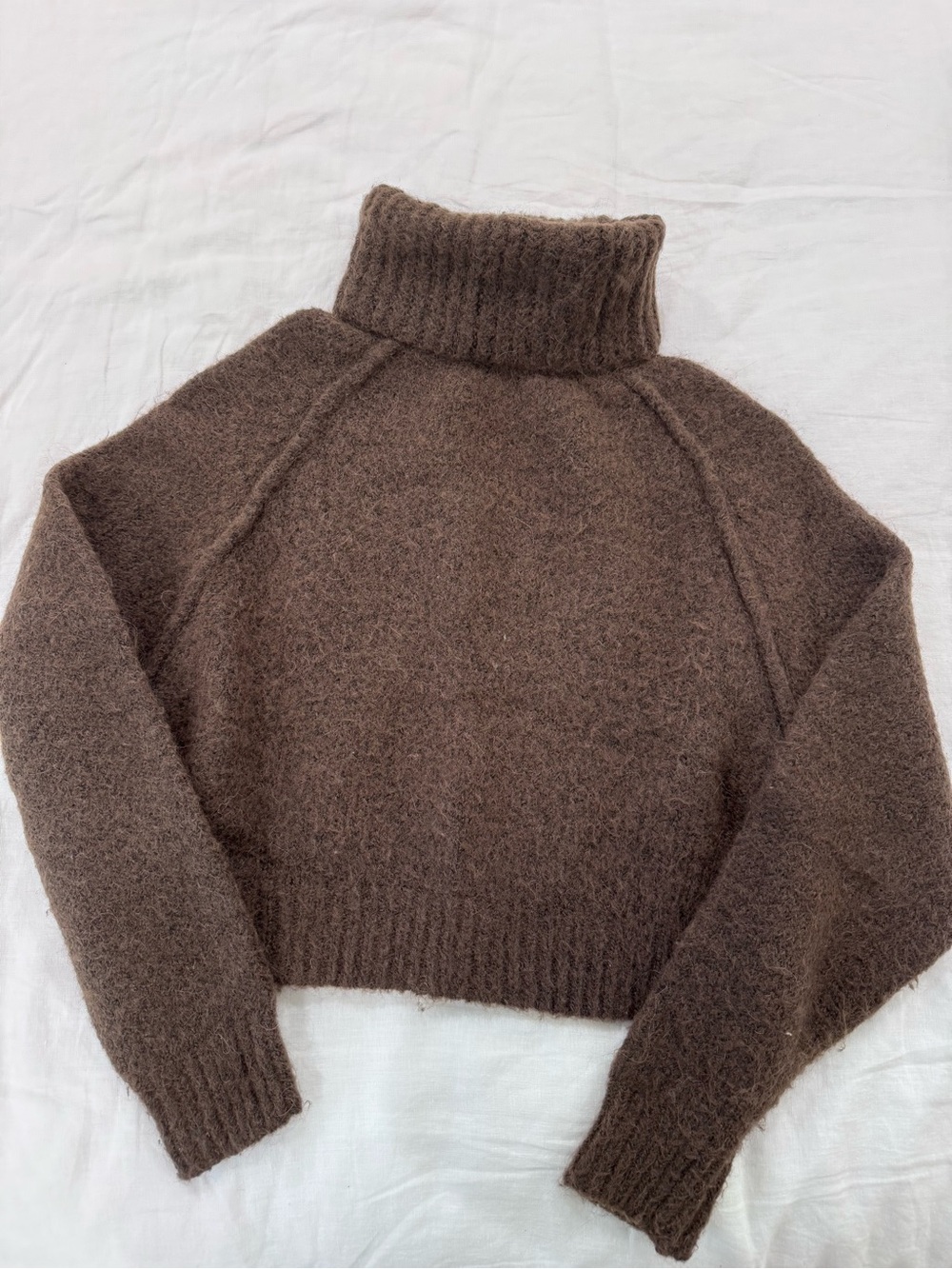 Zara cozy knit turtleneck sweater